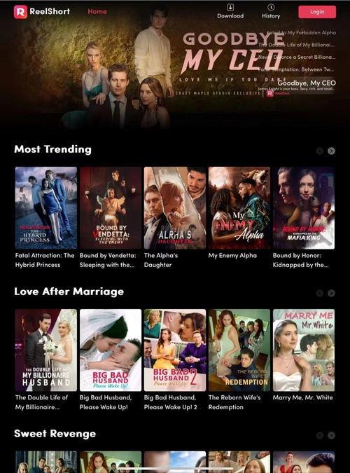 电视剧网站在线观看,电视剧网站在线观看攻略  第2张