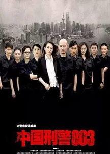 电视剧中国刑警803在线观看,揭秘罪案背后的真相
